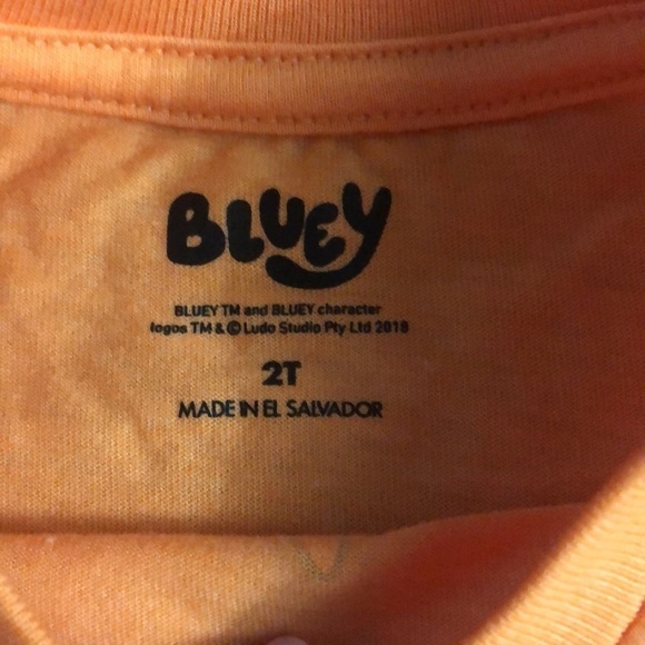 Moose Toddler Boys Bluey Halloween Bingo Short Sleeve T-Shirt Orange 2T - Picture 9 of 11